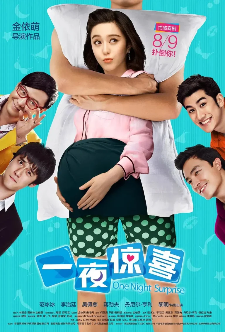 《一夜惊喜2013》全集高清完整版在线观看与剧情解析