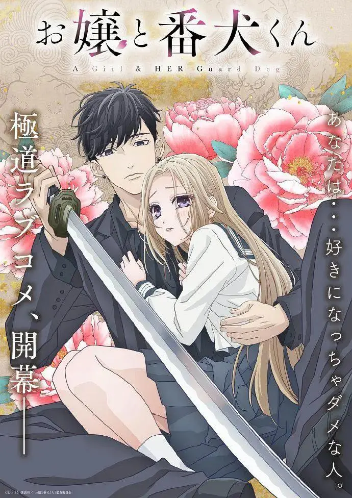 《大小姐和看门犬》全集高清完整版在线观看与剧情解析