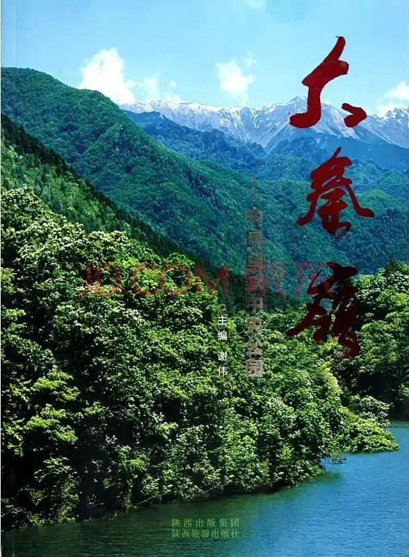 《大秦岭》全集高清完整版在线观看与剧情解析