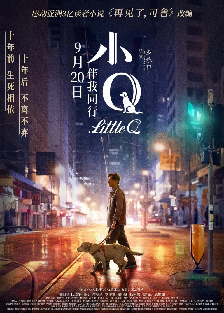 《小Q》全集高清完整版在线观看与剧情解析