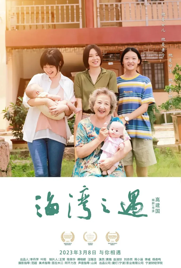 《海湾之遇》全集高清完整版在线观看与剧情解析