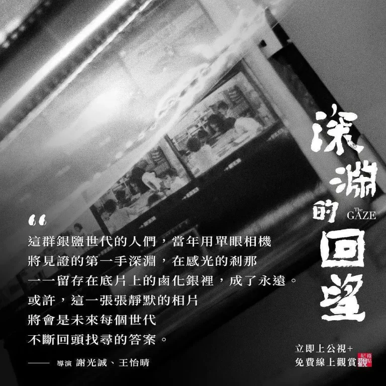 《深渊的回望》全集高清完整版在线观看与剧情解析