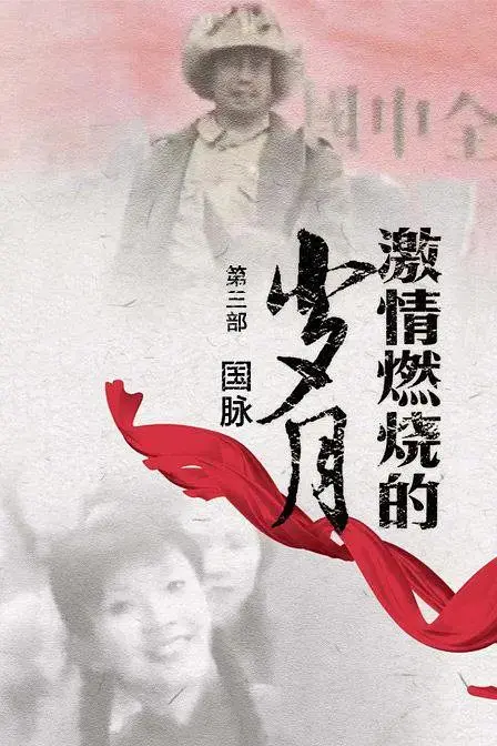 《激情燃烧的岁月3》全集高清完整版在线观看与剧情解析