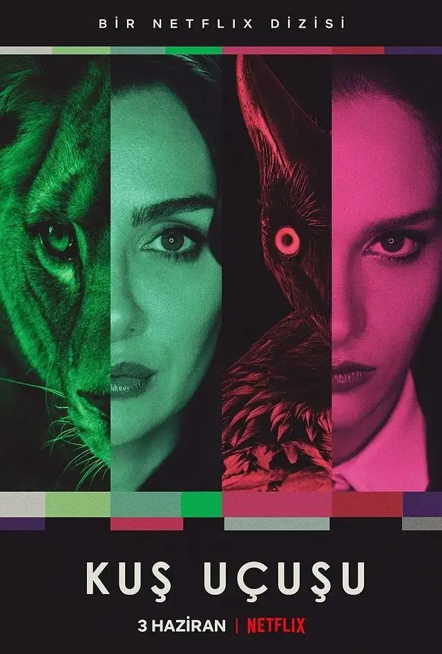 《直线篡位》全集高清完整版在线观看与剧情解析