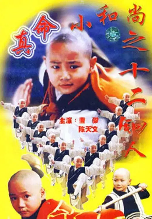 《真命小和尚之十二铜人》全集高清完整版在线观看与剧情解析