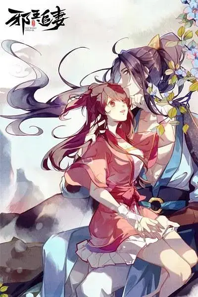 《邪王追妻》全集高清完整版在线观看与剧情解析